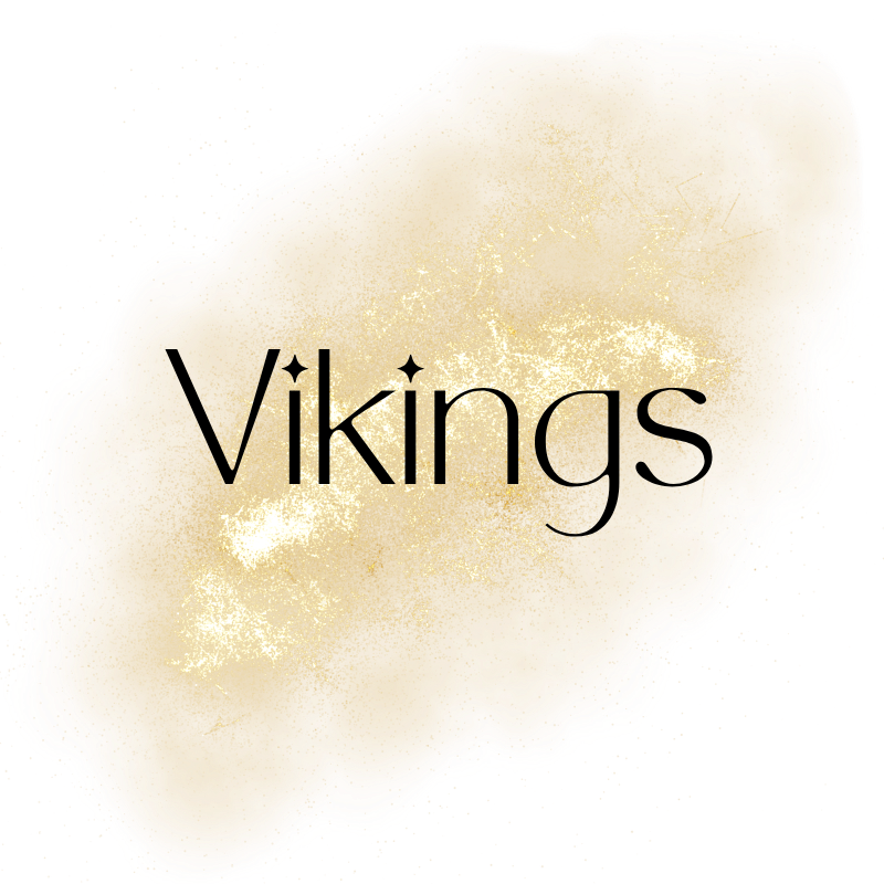 NFL - VIKINGS