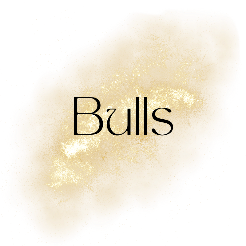 NBA - BULLS