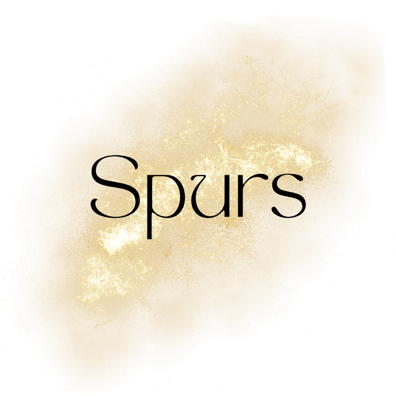 NBA - SPURS