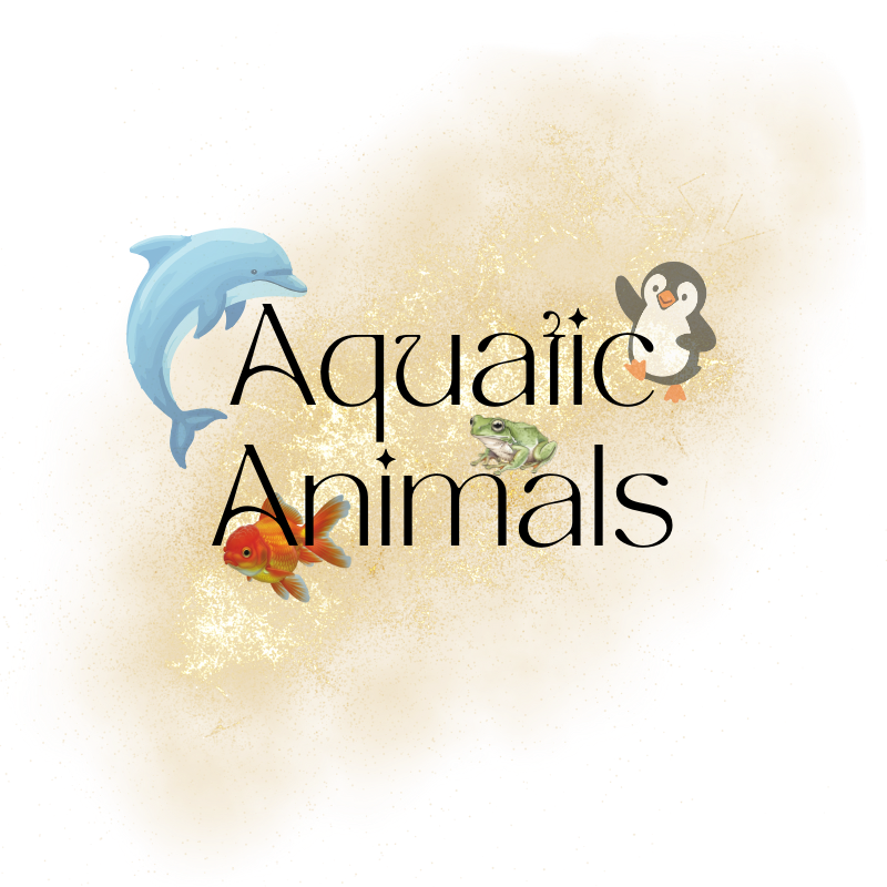 Aquatic Animals
