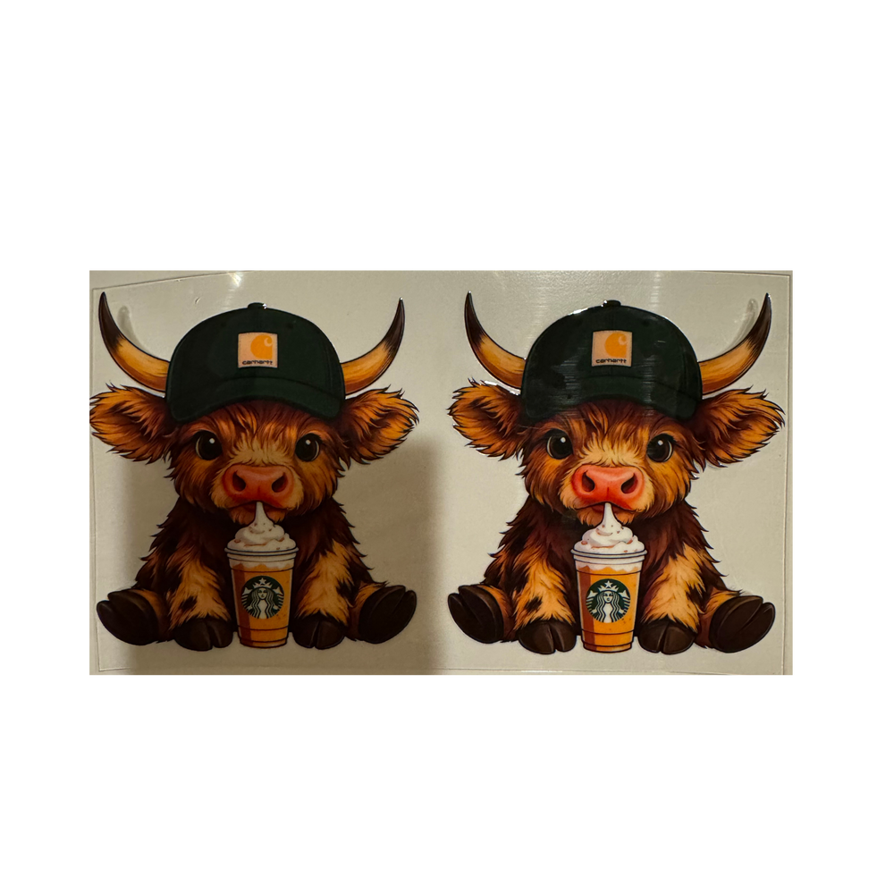 Starbies Cow