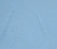 Carolina Blue